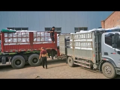 Χλωριωμένο πολυαιθυλένιο CPE 135A PVC Modifier Impact για σωλήνες PVC λευκή σκόνη